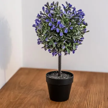 Дом отдыха La Libellule Argentee Le Teilleul